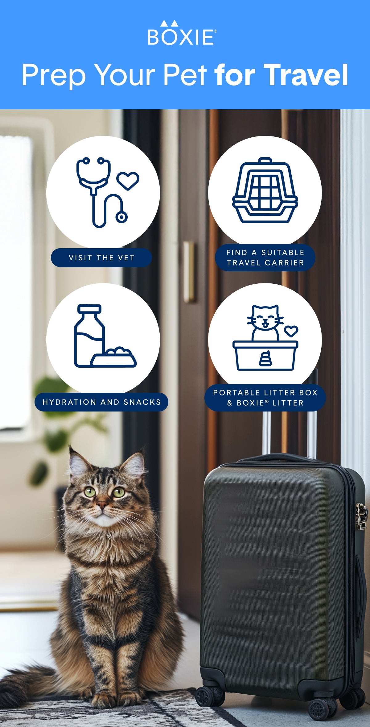 cat with suitcase for vacation