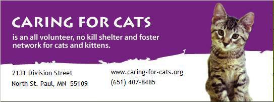 New Shelter Partner - Caring for Cats