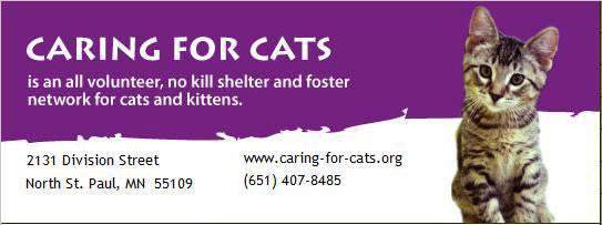 New Shelter Partner - Caring for Cats