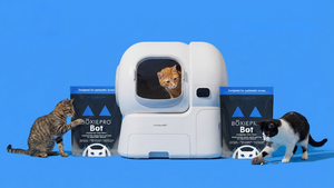 Why Your Automatic Litter Box Isn’t Performing As It Should