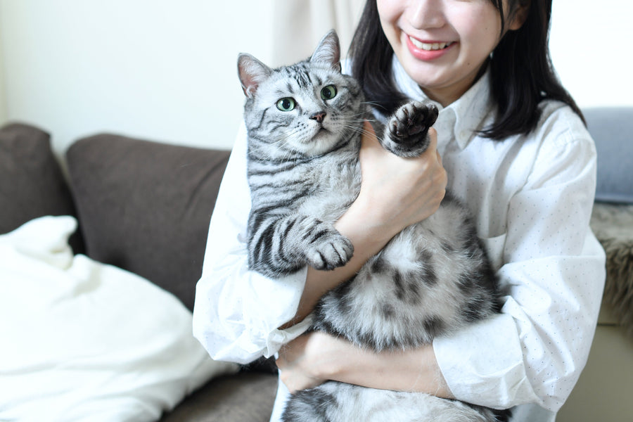 How Long Will Your Cat Remember You?