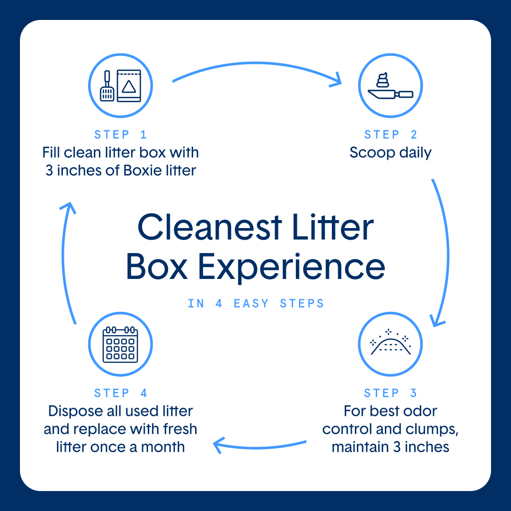 Unscented Natural Clumping Clay Litter