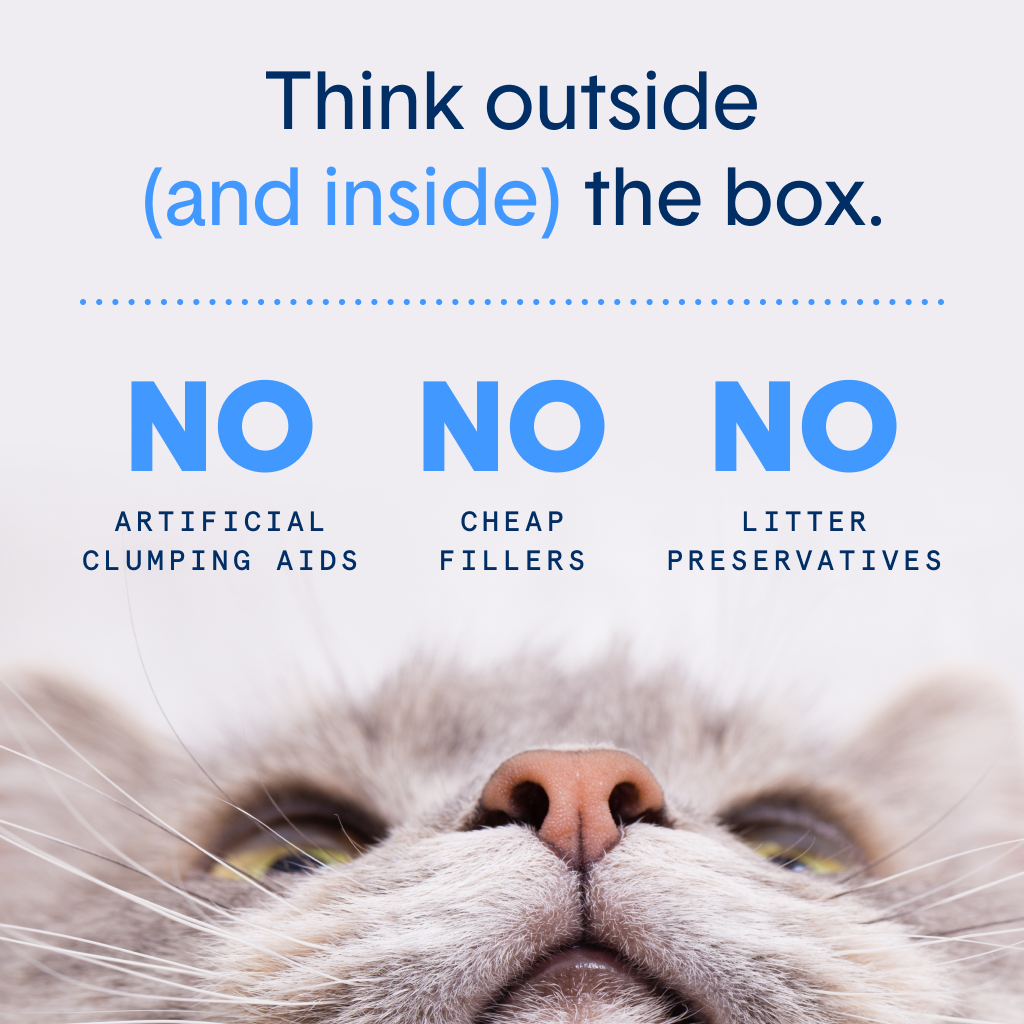 Glo™ Natural Attractions™ Non-Clumping Crystal Cat Litter