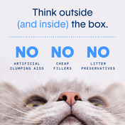 Glo™ Natural Attractions™ Non-Clumping Crystal Cat Litter