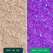 Glo™ UV Stress-Relief Clumping Corn Litter
