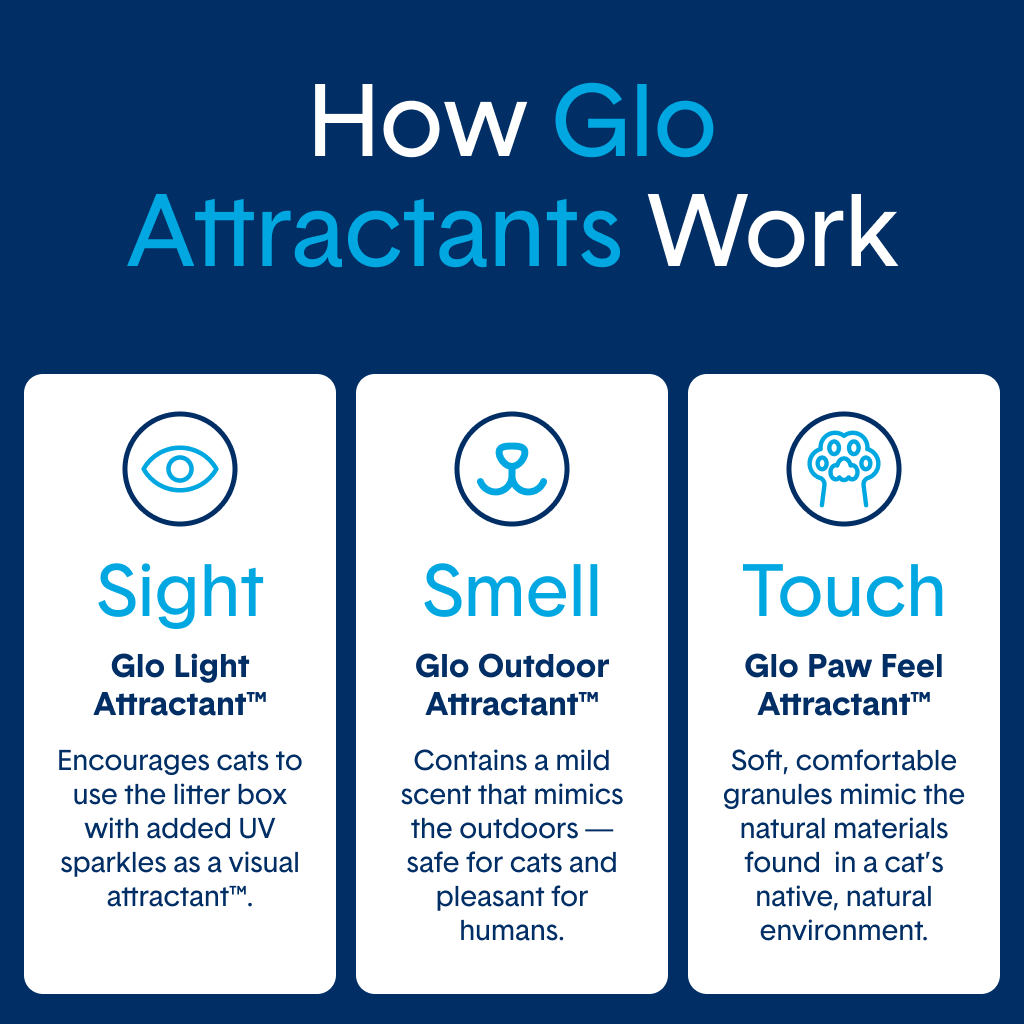 Glo™ Natural Attractions™ Non-Clumping Crystal Cat Litter