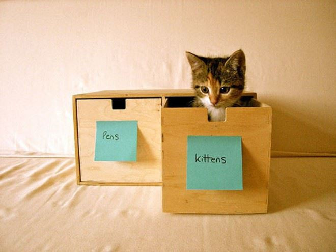 Litter Learning Center - Table of Contents