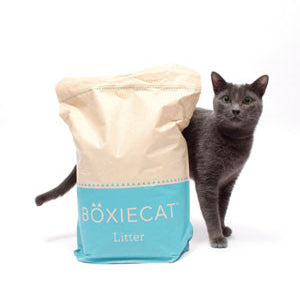 Boxiecat Announced as “Best Cat Product of the Year”