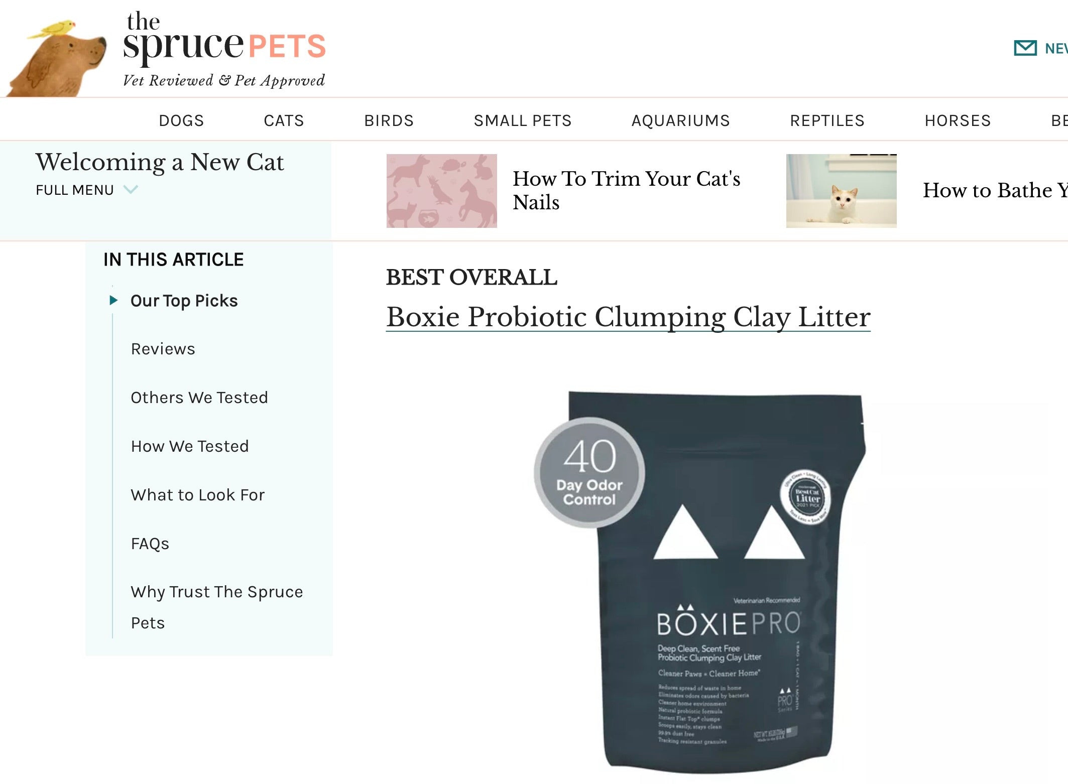 Boxie is Best Overall Cat Litter on The Spruce Pets