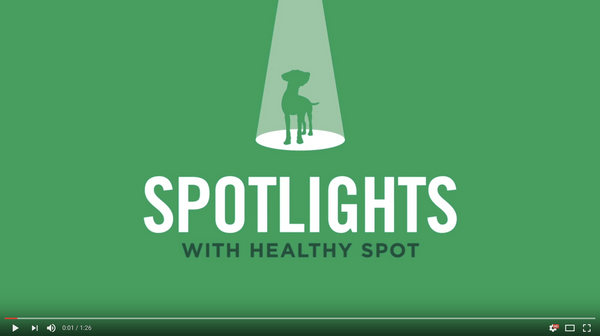 Video Spotlight on Boxiecat with Healthy Spot