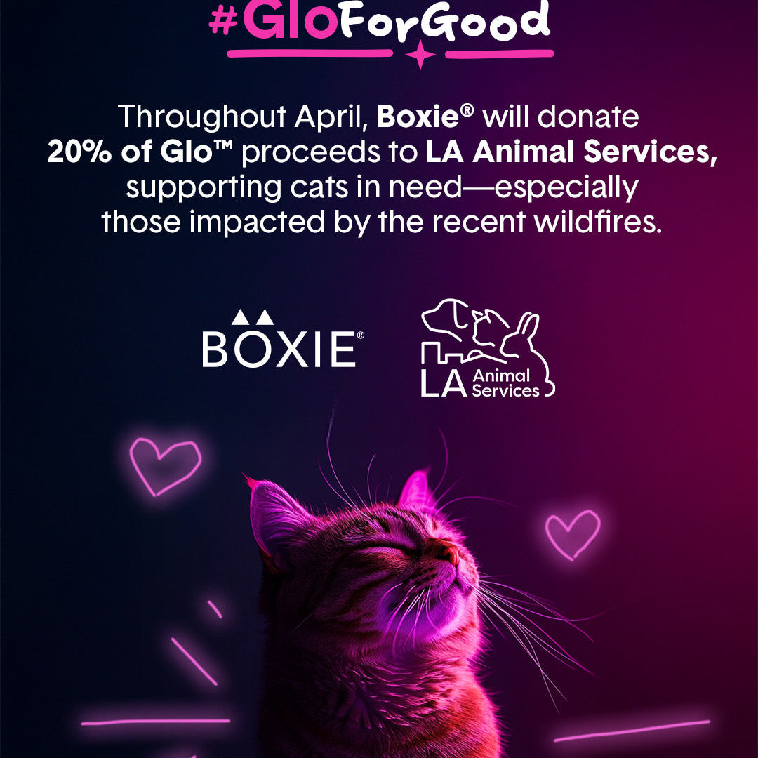 Glo for Good: Seeing the World in Your Cat’s Eyes