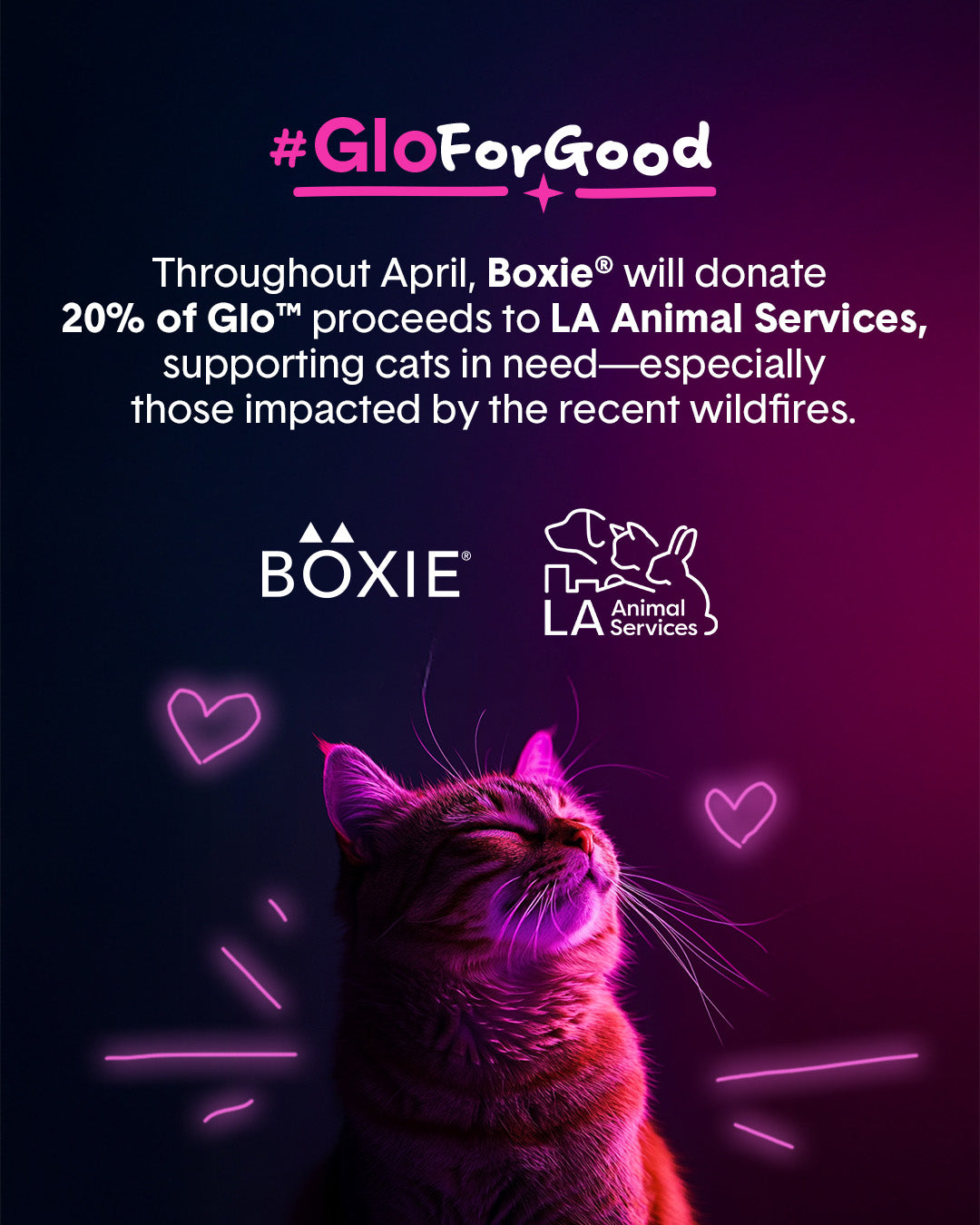 Glo for Good: Seeing the World in Your Cat’s Eyes