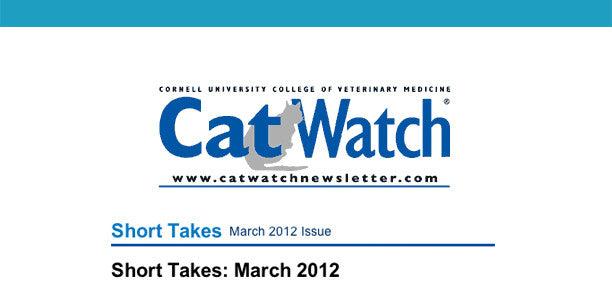 Cornell University School Of Veterinary Medicine's "Cat Watch" Newsletter Features Boxiecat!
