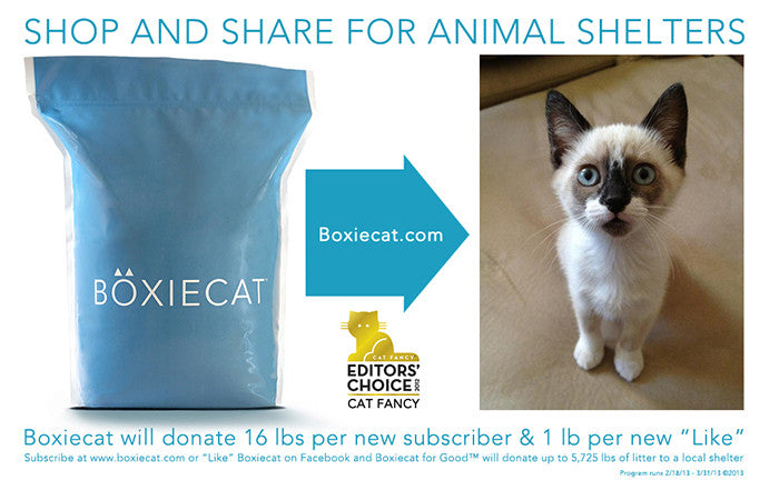 Shop and Share for Animal Shelters