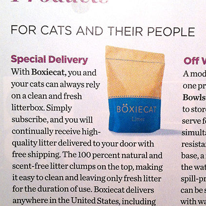 Boxiecat Featured In Cat Fancy Magazine!