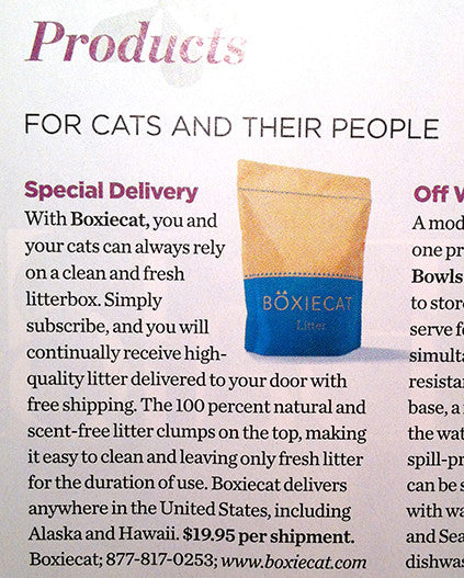 Boxiecat Featured In Cat Fancy Magazine!