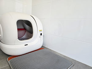 How Automatic Litter Boxes Change Your Daily Litter Routine