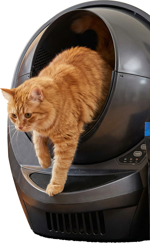 Automatic Litter Box Features Explained: Sensors, Rakes, Rotating Systems, and More
