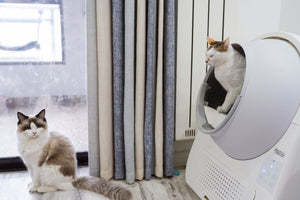 Are Automatic Litter Boxes Worth It? Pros, Cons, and What to Consider