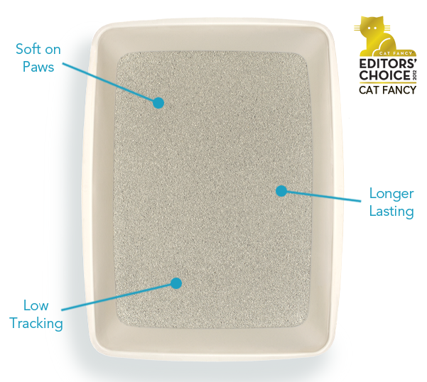 What Are the Different Types of Cat Litter?