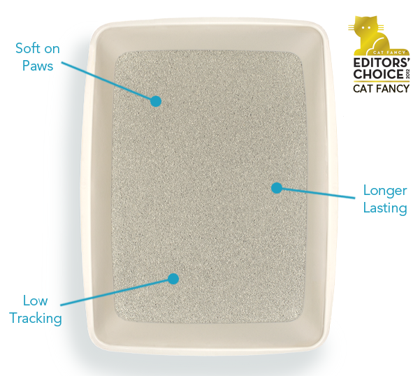 Best Cat Litter Guide for 2025