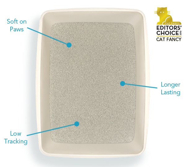 The Ultimate Guide to Choosing the Right Cat Litter