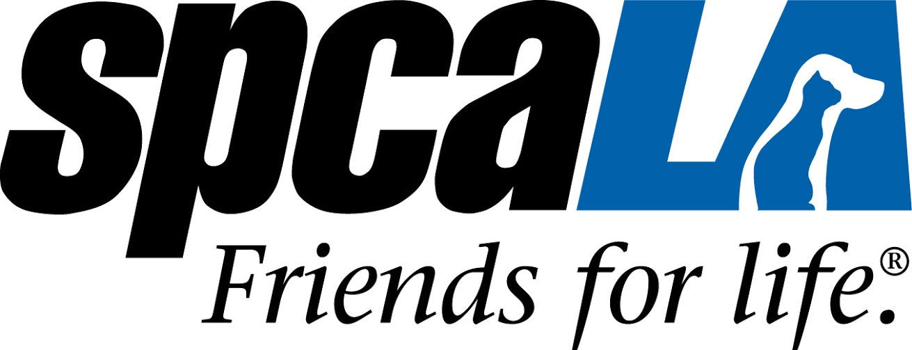 Boxiecat Partners with spcaLA to Promote the Care of Cats!