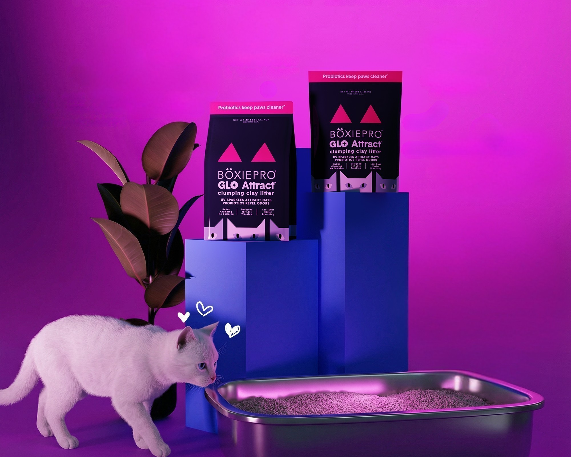 Shop Glo Attract™ Cat Litter