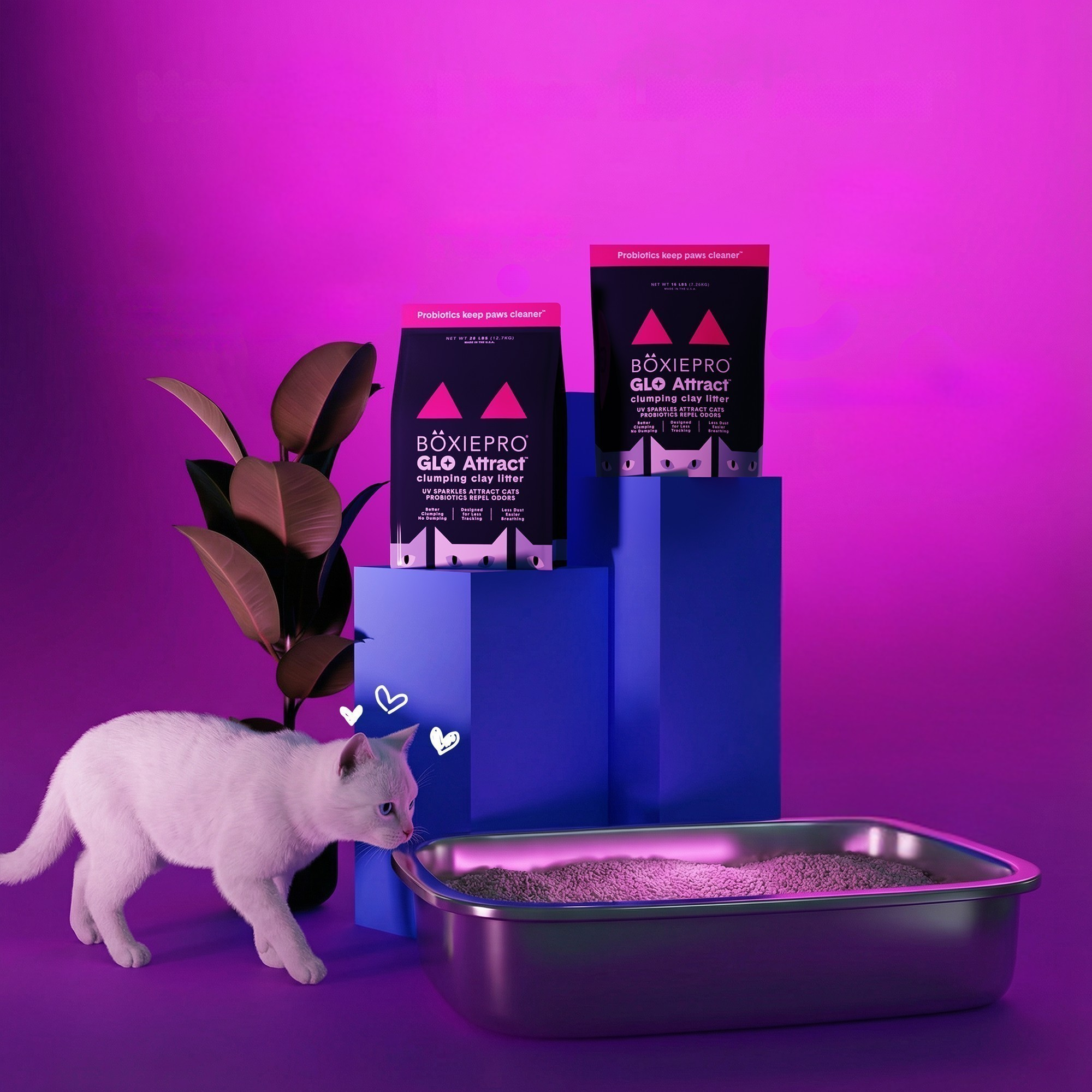 Shop Glo Attract™ Cat Litter