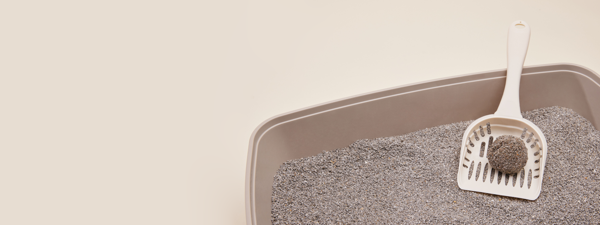 Clay Cat Litter