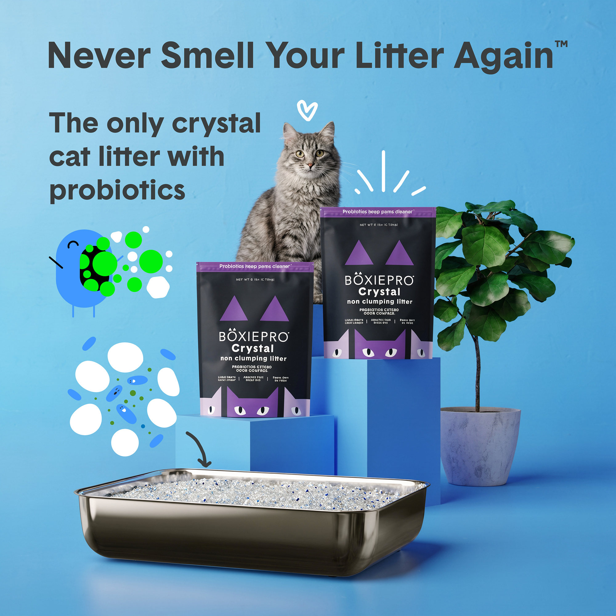 Crystal_IMG_2.png