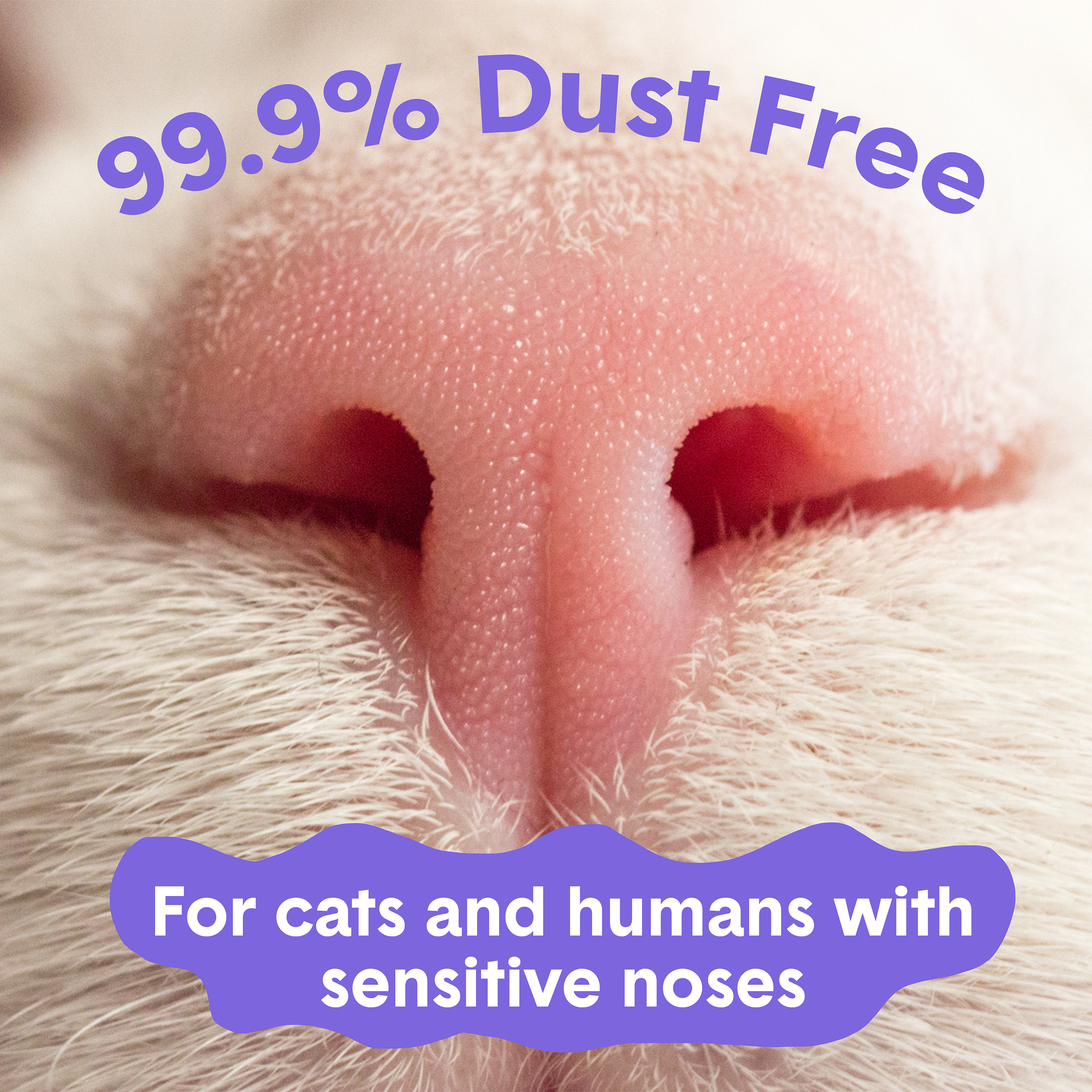 BoxiePro® Crystal Non-Clumping Cat Litter
