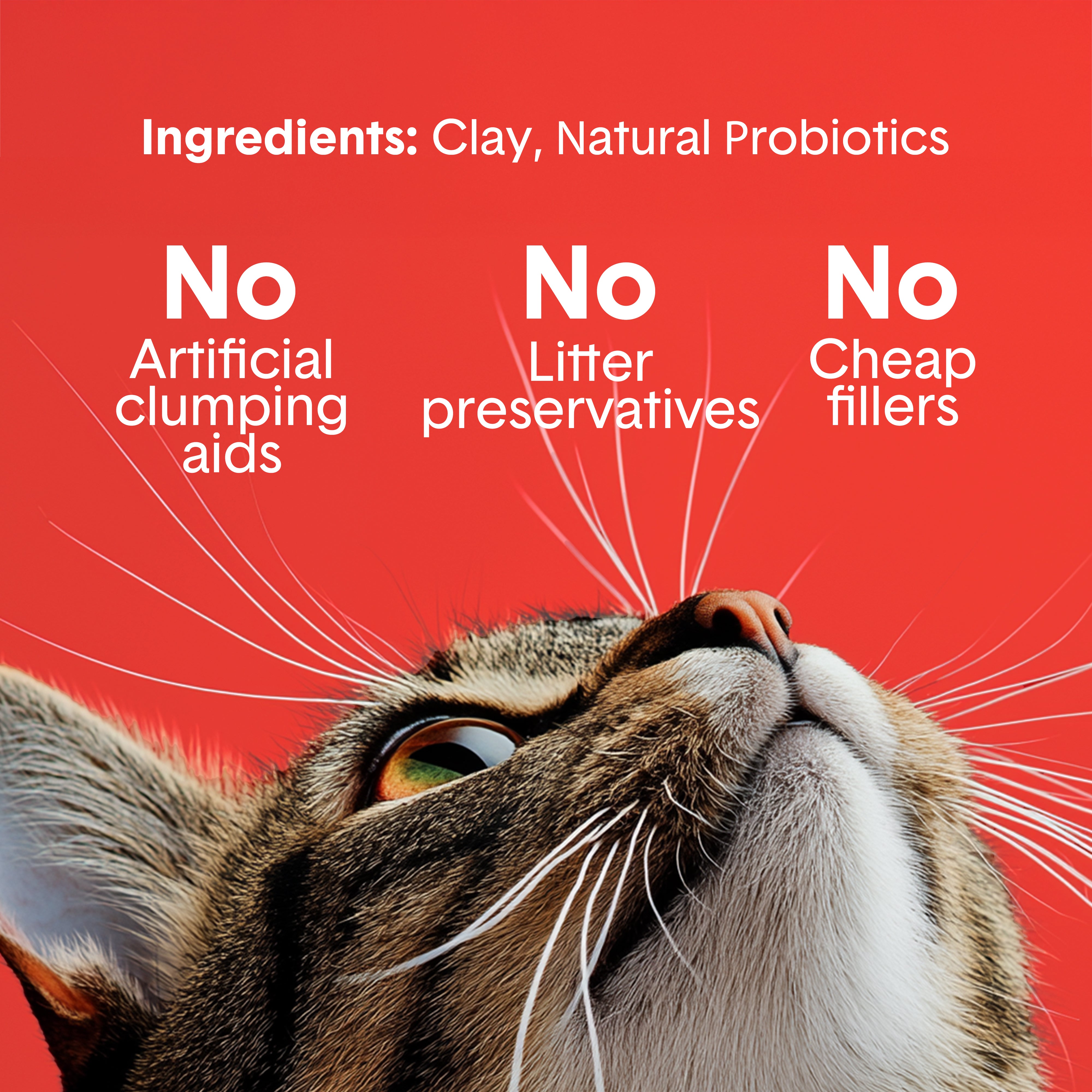 にゃんストマッタケア 3kg Extra Strength Multi-Cat Litter | 35-Day Odor Control – Boxie