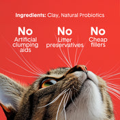 Extra Strength Multi-Cat Clumping Clay Litter