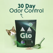 Glo™ Natural Attractions™ Clumping Corn Cat Litter