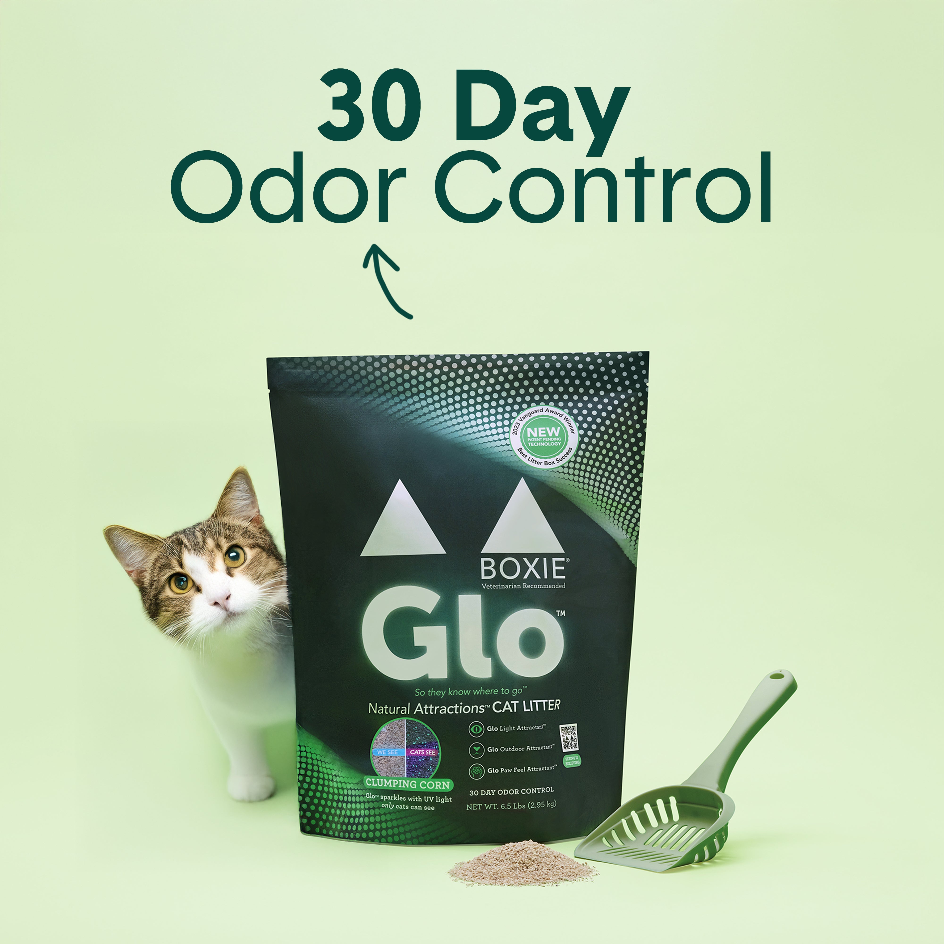 Glo™ Natural Attractions™ Clumping Corn Cat Litter