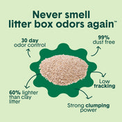 Glo™ Natural Attractions™ Clumping Corn Cat Litter