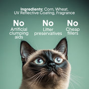 Glo™ Natural Attractions™ Clumping Corn Cat Litter