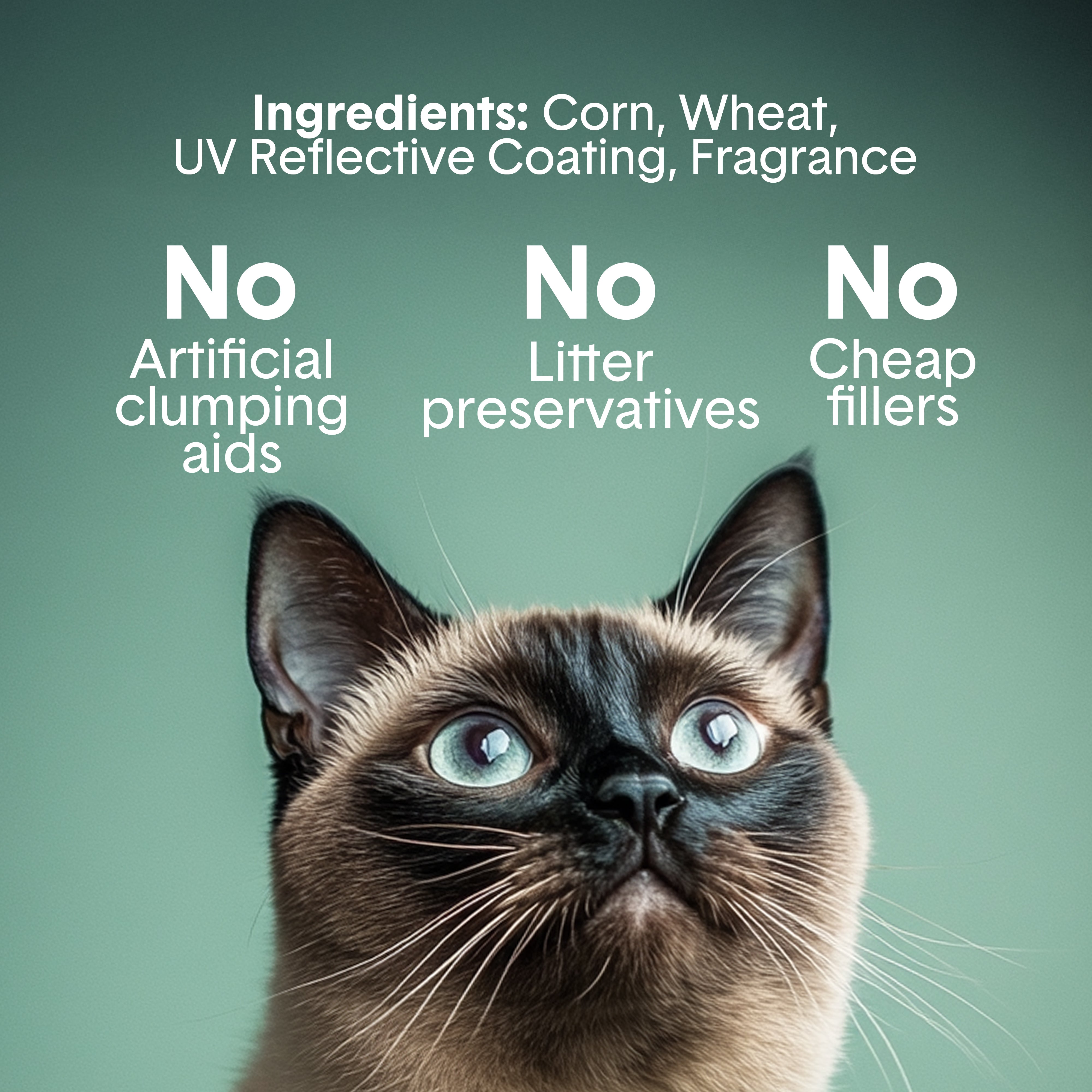 Glo™ Natural Attractions™ Clumping Corn Cat Litter