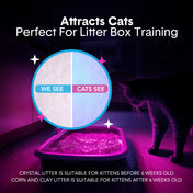 Glo™ Natural Attractions™ Non-Clumping Crystal Cat Litter