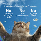 Gently Scented Lightweight Plant-Based Cat Litter