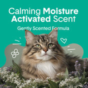 Gently Scented Natural Clumping Clay Cat Litter
