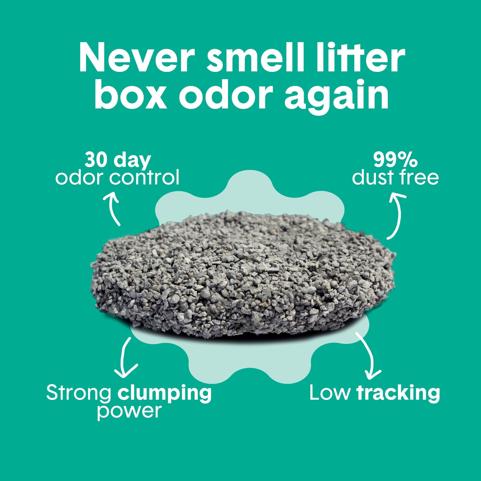 Gently Scented Natural Clumping Clay Cat Litter