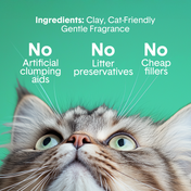Gently Scented Natural Clumping Clay Cat Litter