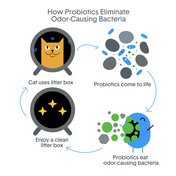 BoxiePro® Bot™ Clumping Clay Cat Litter