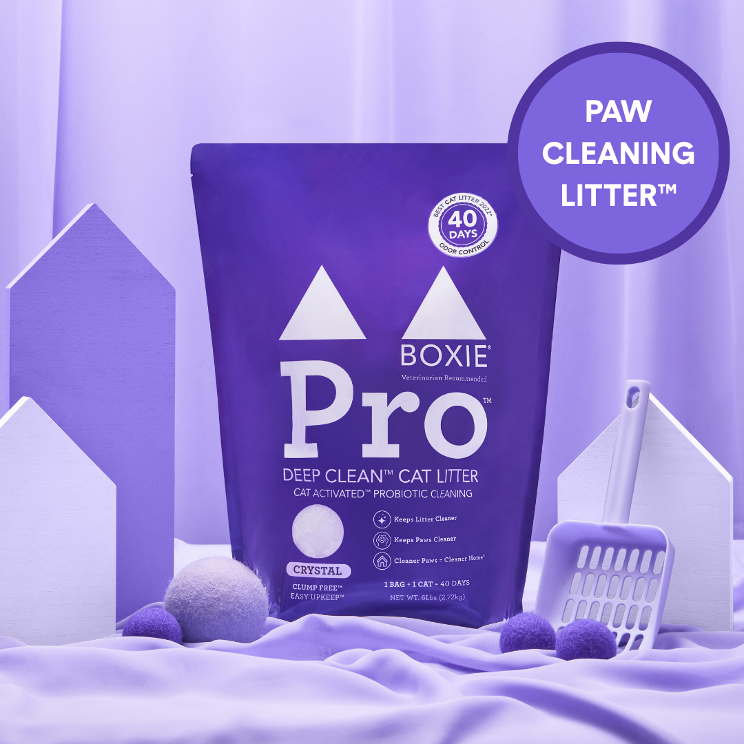 Self-Cleaning Probiotic Crystal Non-Clumping Cat Litter