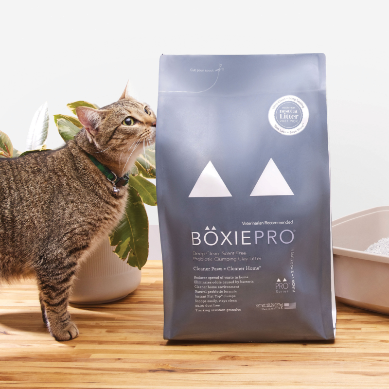 Boxie Pro