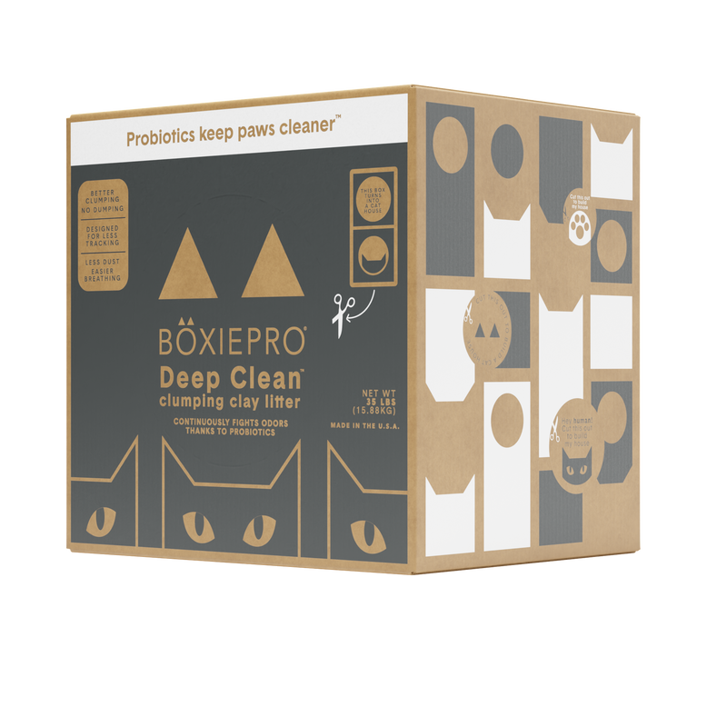 BoxiePro Deep Clean at Walmart