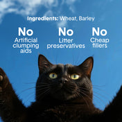 Unscented Lightweight Plant-Based Litter