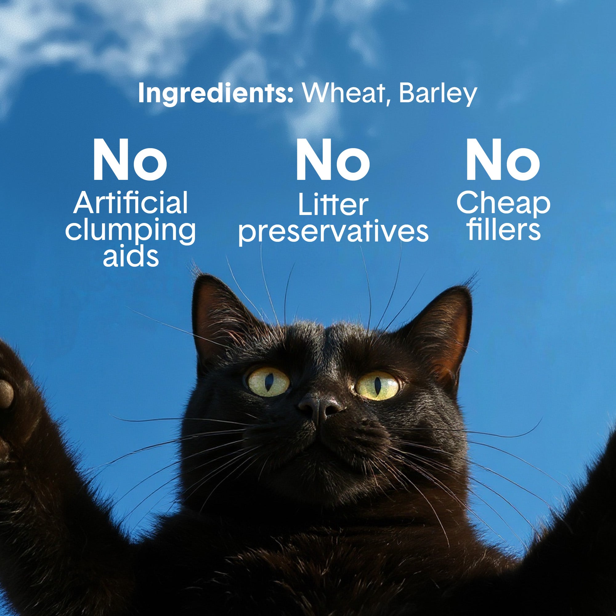 Unscented Lightweight Plant-Based Litter